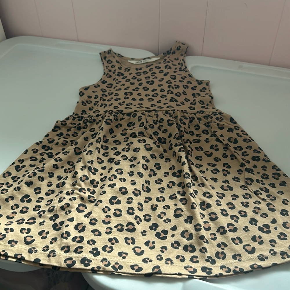 Toddler Girl H&M Dress
